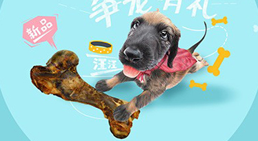 【寵物類目】如何提升淘寶運(yùn)營能力