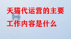 天貓代運(yùn)營的主要工作內(nèi)容是什么