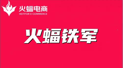韶華恰逢少年時,海豹的電商運營之路